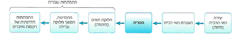 (בספר תמונות)